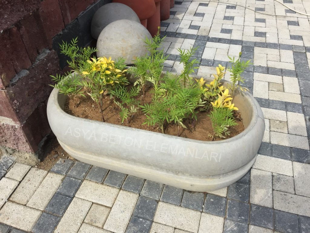 Oval Desenli Beton Çiçeklik